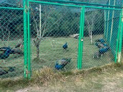 -泗洪洪泽湖湿地景区