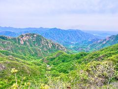 -大岭沟猕猴桃谷风景区