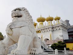 -上海东林寺(金山区)