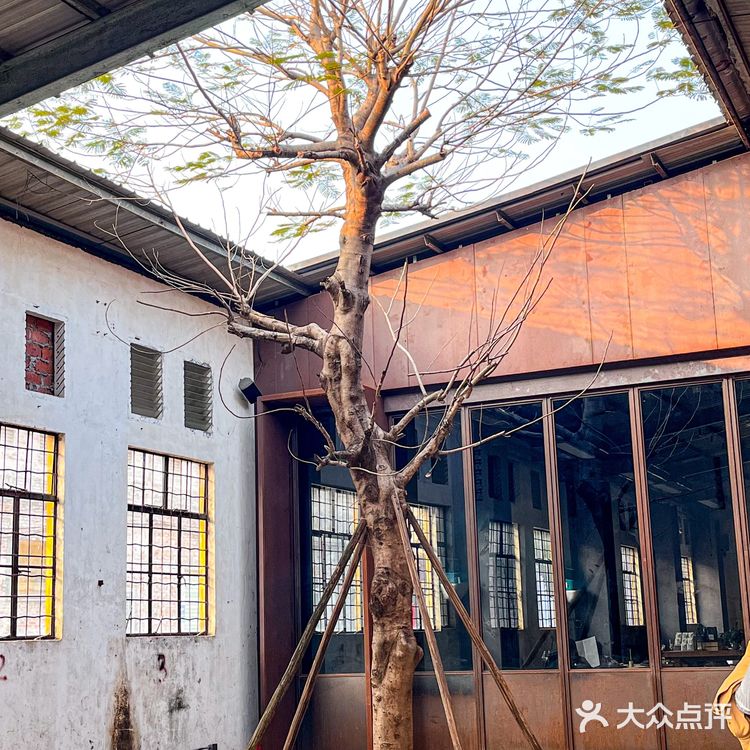 越式融合菜✨开启味蕾觉醒之旅