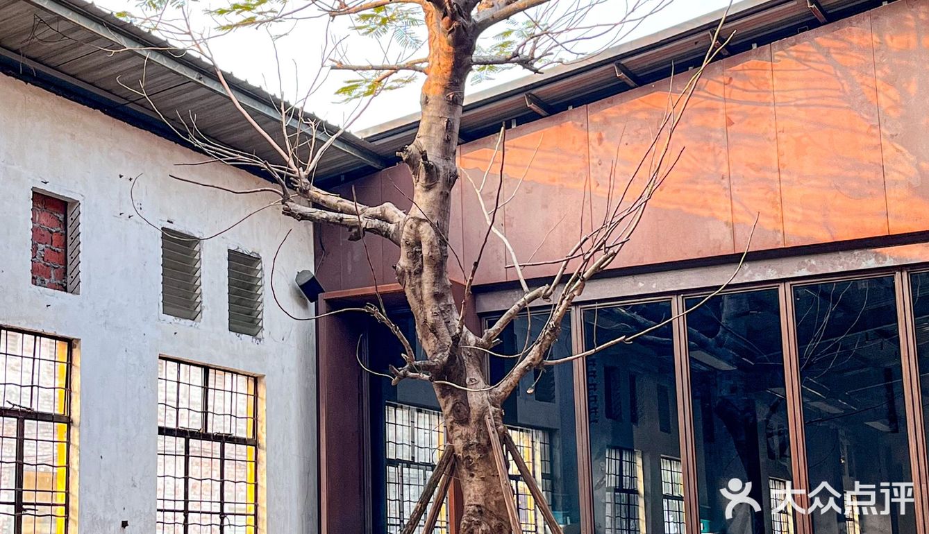 越式融合菜✨开启味蕾觉醒之旅