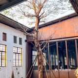 越式融合菜✨开启味蕾觉醒之旅