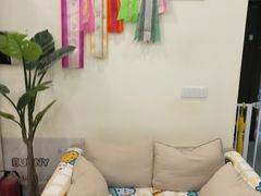 -柚子猫舍·精品猫舍购猫·猫咪认养·购宠·宠物店