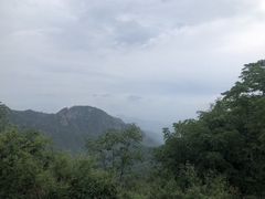 -大岭沟猕猴桃谷风景区