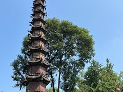 -四川大学博物馆