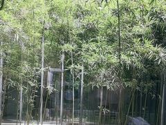 -兰亭风景区