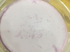 黑枸杞酸奶-泽禄源·青海土火锅