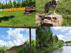 -狼山风景名胜区