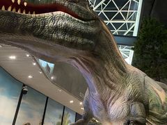 -湖南省地质博物馆