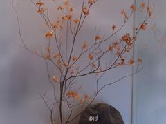 -THE RAVEN乌鸦咖啡(天利店)