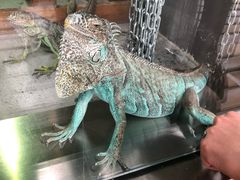 -武清南湖绿博园