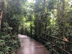 -呀诺达热带雨林