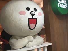 -line friends(明洞旗舰店)