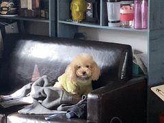 -FEELINGME乐刻私教馆·健身(沿海赛洛城店)