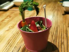 藜麦果蔬盆栽-嘉禾·悦享餐厅(八方汇店)