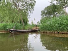 -白洋淀景区
