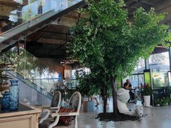 -了不起的考拉咖啡店(高新店)