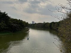 -海珠湖公园