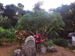 -中国科学院西双版纳热带植物园