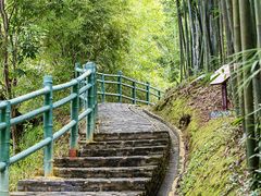 -苏家围·东江画廊旅游景区