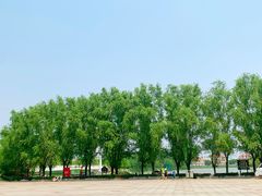 -塘沽森林公园