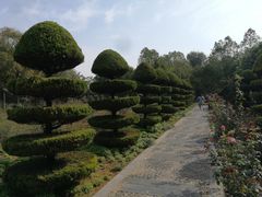 -洛阳市隋唐城遗址植物园
