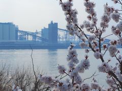 -锦州笔架山风景区
