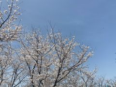 -龙美术馆(西岸馆)