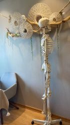 -小林日式·小颜整骨院