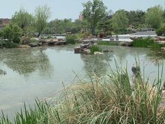 -南阳卧龙岗武侯祠