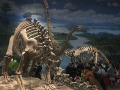 -自贡恐龙博物馆