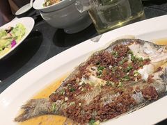 -鲁菜根·泰安菜(万达店)
