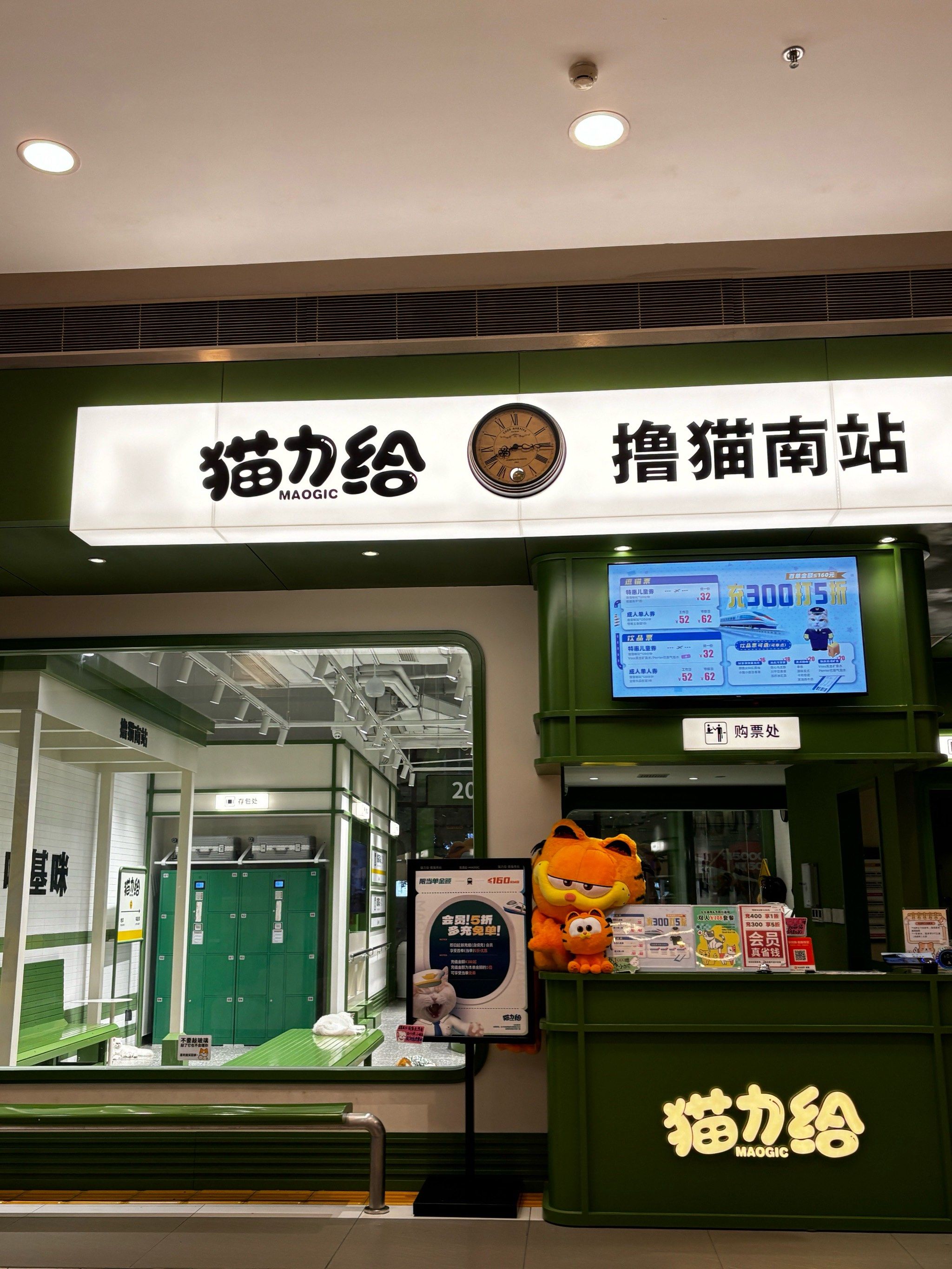爆打成都所有猫咖店