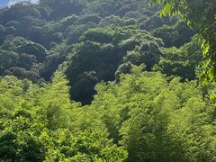 -黄公望隐居地
