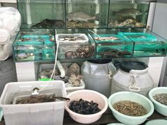 -胖子饺子馆·海鲜家常菜(海军博物馆店)