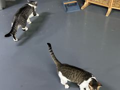 -蓝天射箭馆·专业射箭运动(诚丰广场店)