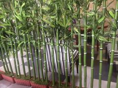 -下杨家青海土火锅(海湖店)