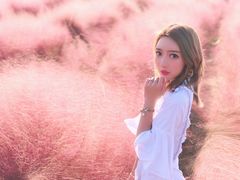 -金卉庄园