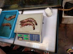 -ZF Seafood Restaurant 卓峰海鲜餐