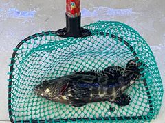 -鑫鸿达·海鲜闽菜热炒小馆(中山路店)