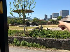 -杭州野生动物世界