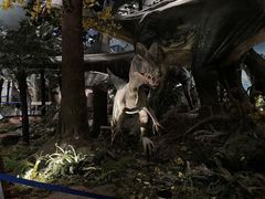 -湖南省地质博物馆