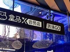 -盒马X会员店(上海森兰商都店)