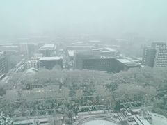 -南京维景国际大酒店(南京博物院店)