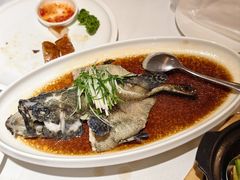 清蒸老虎斑-万龙洲海鲜(南新仓店)