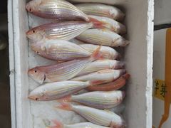 -隆都四季香饭店(碧海路店)