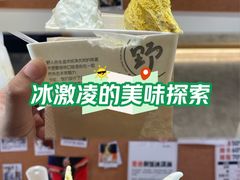 -野人牧坊Gelato(天津南开大悦城店)
