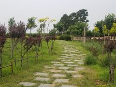 -东疆建设开发纪念公园