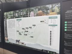-天目山大树王景区