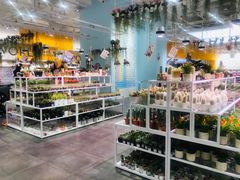 -KKV(深圳宏发大仟里店)